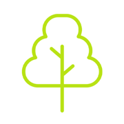icon of tree